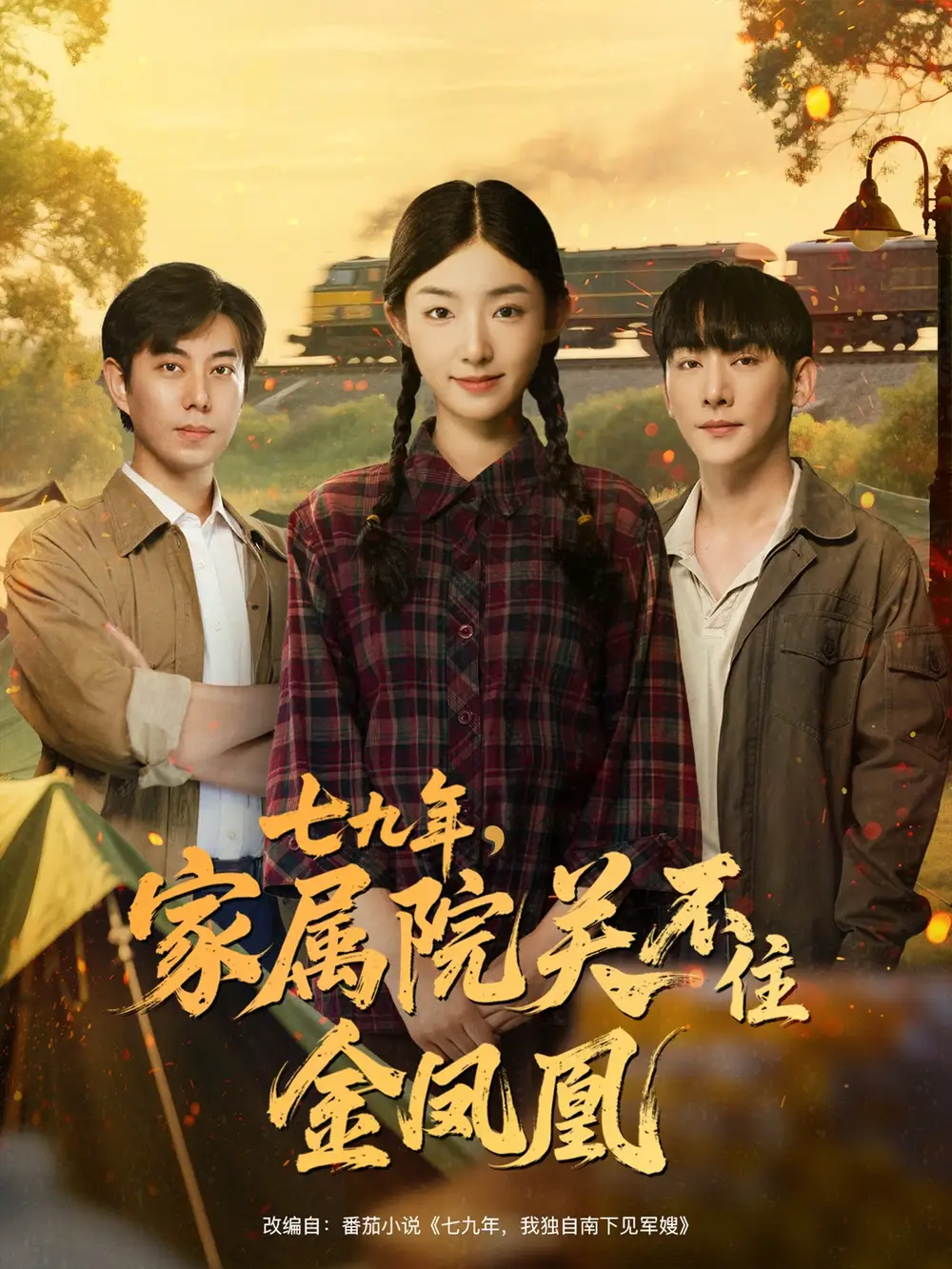 短剧《七九年家属院关不住金凤凰》全集完整版高清免费在线观看