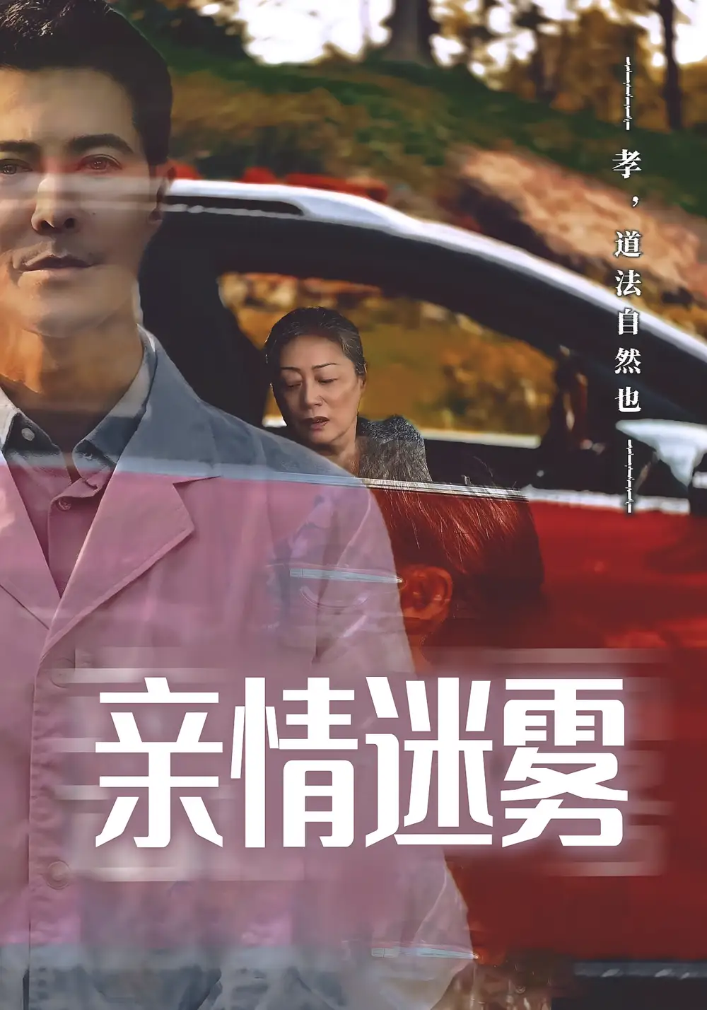 亲情迷雾（30集）海报