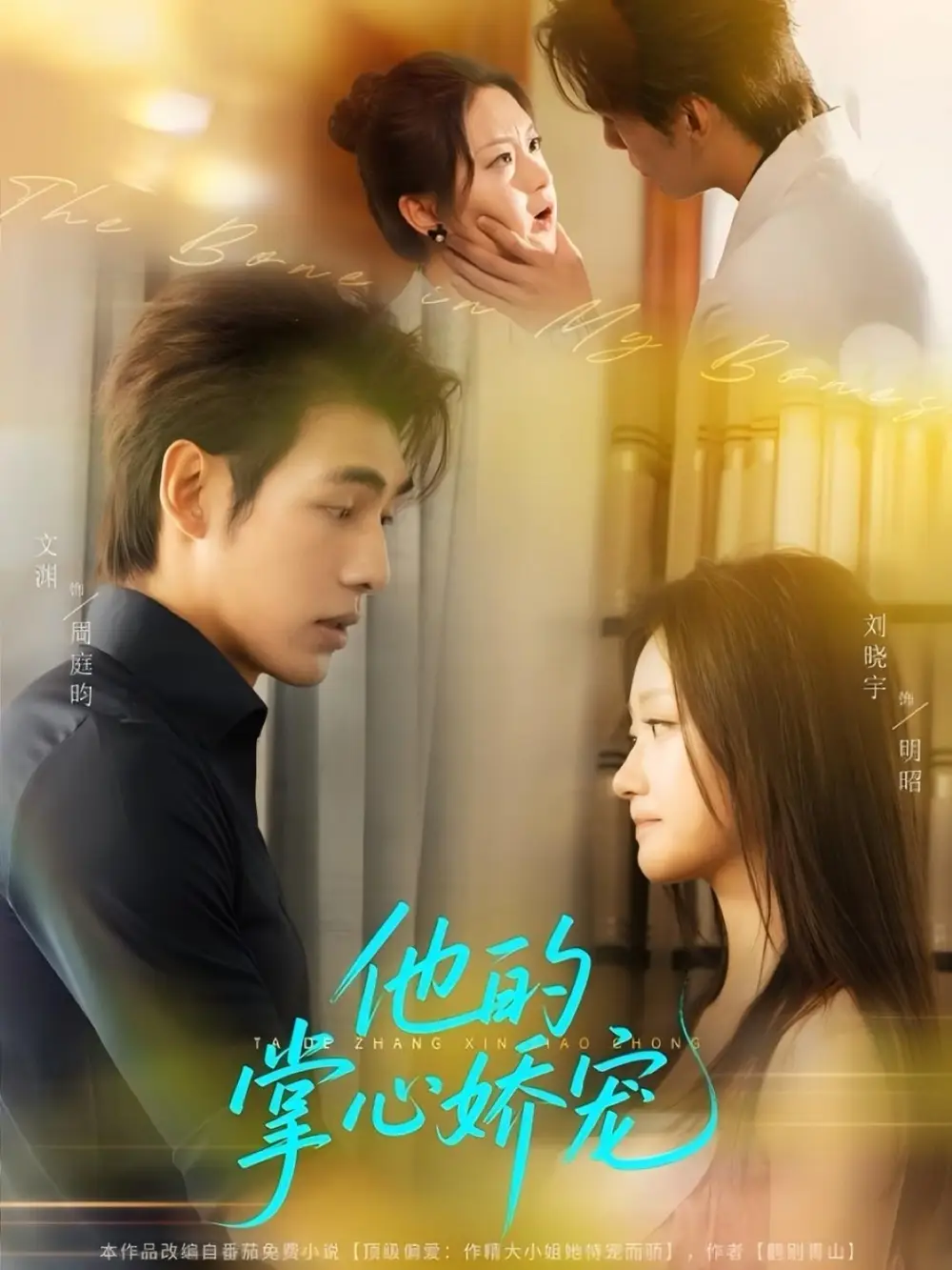 他的掌心娇宠(60集)文渊&刘晓宇高清海报图片 他的掌心娇宠(60集)文渊&刘晓宇海报