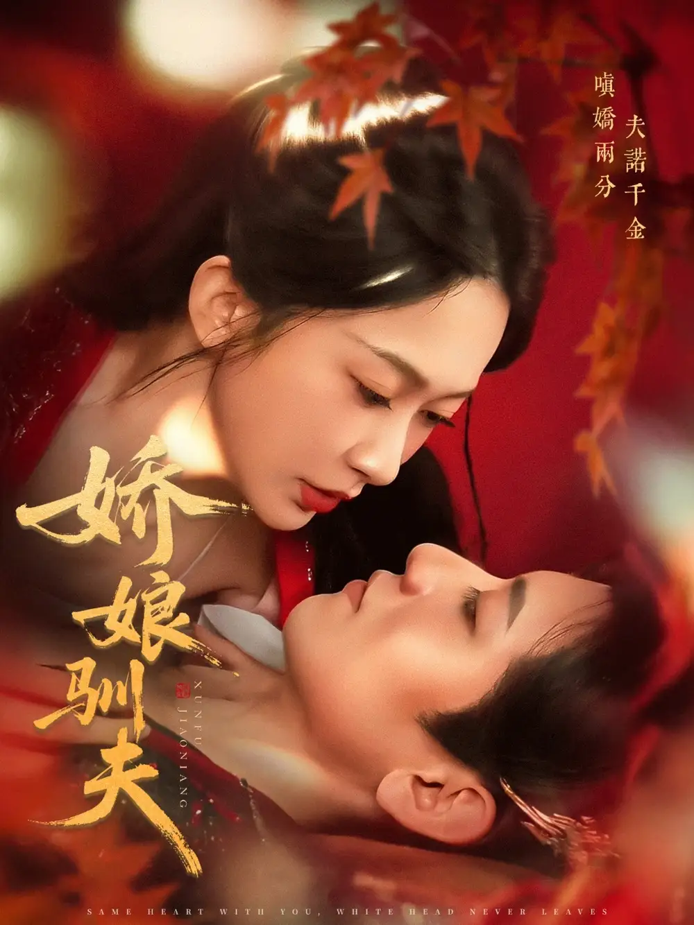 短剧《娇娘驯夫》全集完整版高清免费在线观看