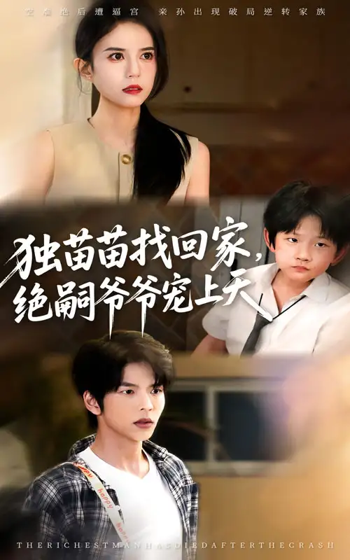 独苗苗找回家绝嗣爷爷宠上天（65集）向帅&张文慧海报