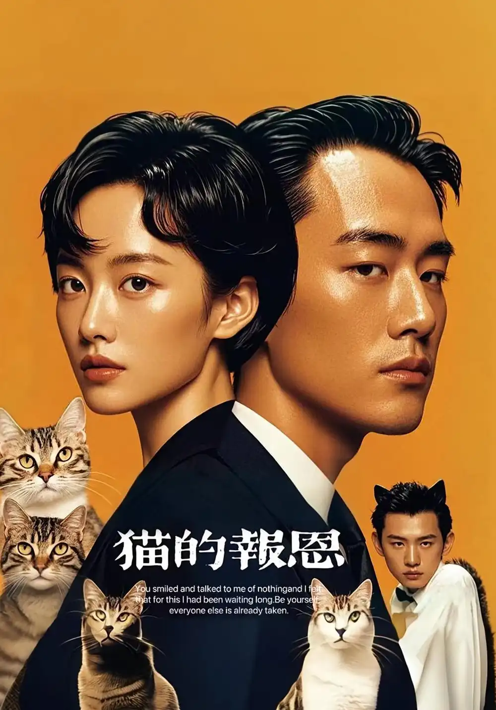 猫的报恩（60集）海报