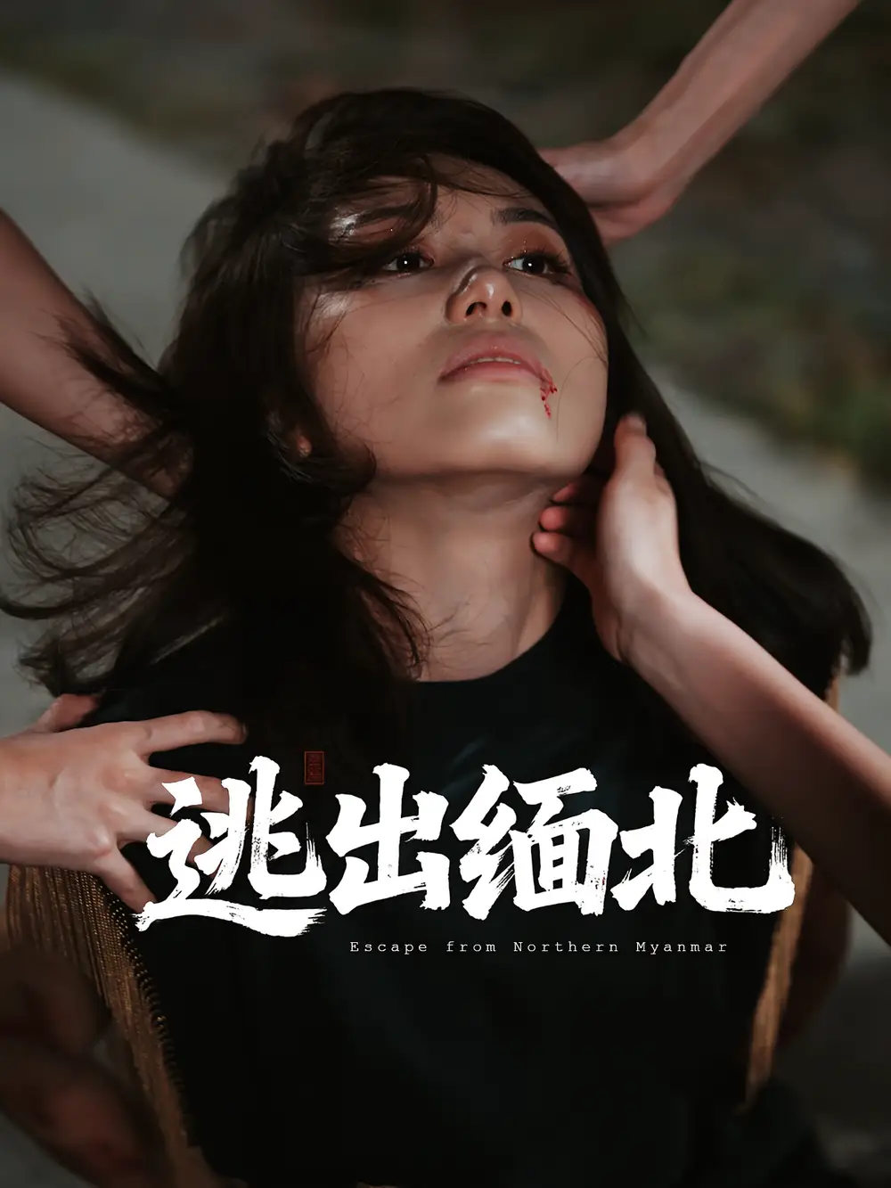 逃出缅北（62集）刘振安&汪芷萱海报