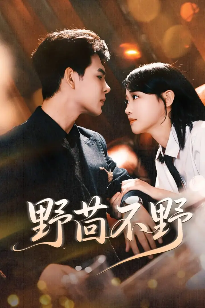 短剧《野茴不野》全集完整版高清免费在线观看