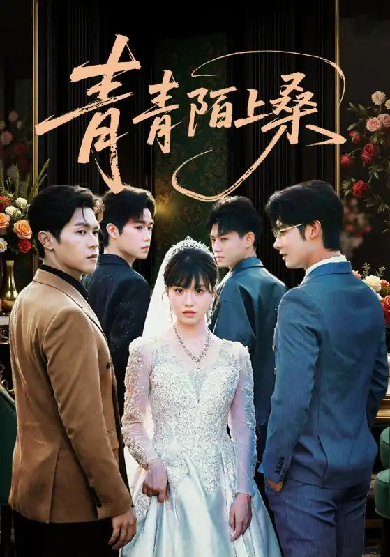 青青陌上桑（70集）海报