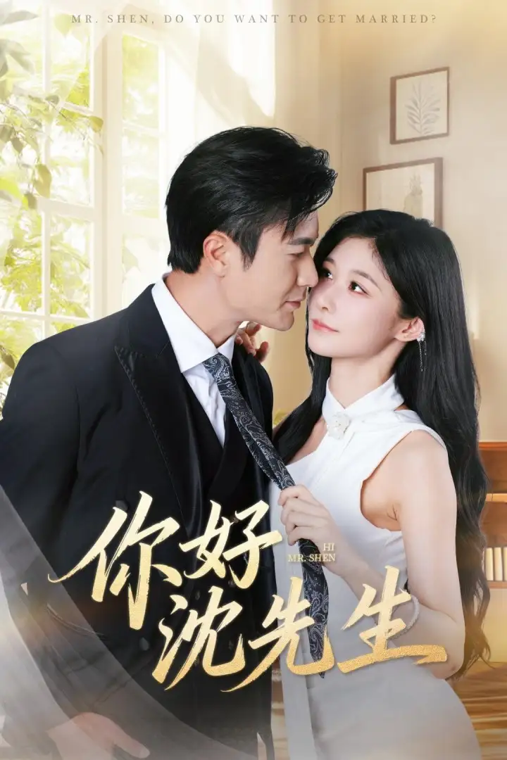 你好沈先生（52集）罗佳豪＆孙妍恩海报