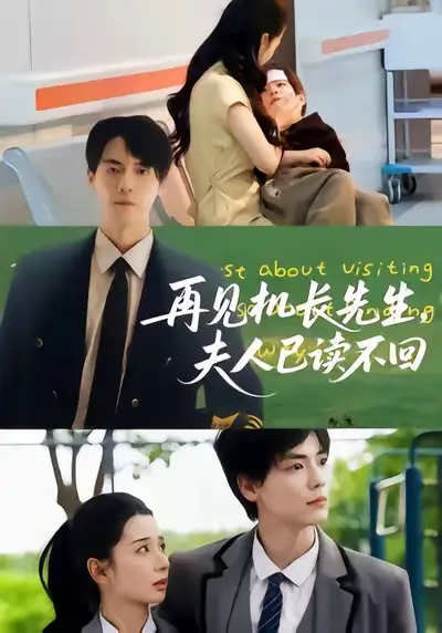 短剧《再见机长先生夫人已读不回》全集完整版高清免费在线观看