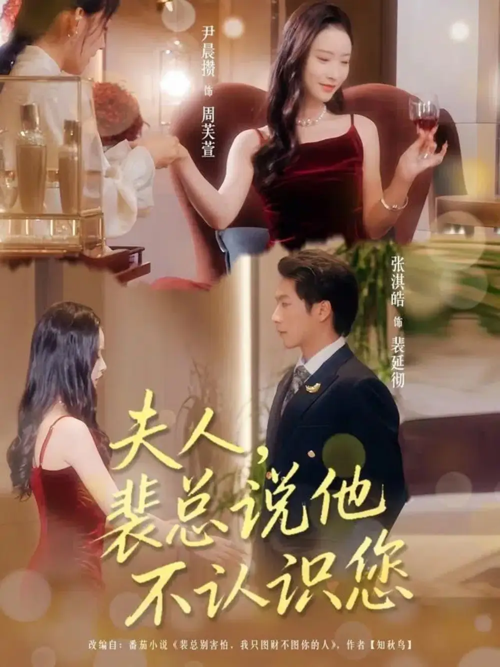 短剧《夫人裴总说他不认识您》全集完整版高清免费在线观看