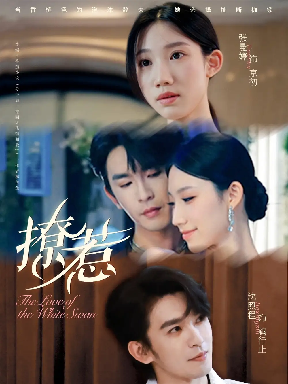 短剧《撩惹》全集完整版高清免费在线观看