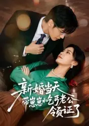 短剧《新婚当天带崽崽和乞丐老公领证了》全集完整版高清免费在线观看