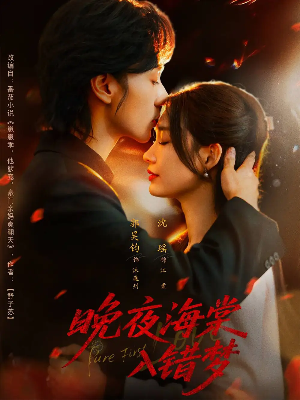短剧《晚夜海棠入错梦》全集完整版高清免费在线观看