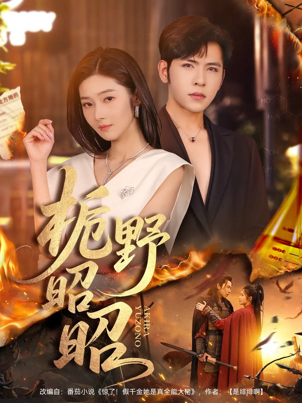 短剧《栀野昭昭》全集完整版高清免费在线观看