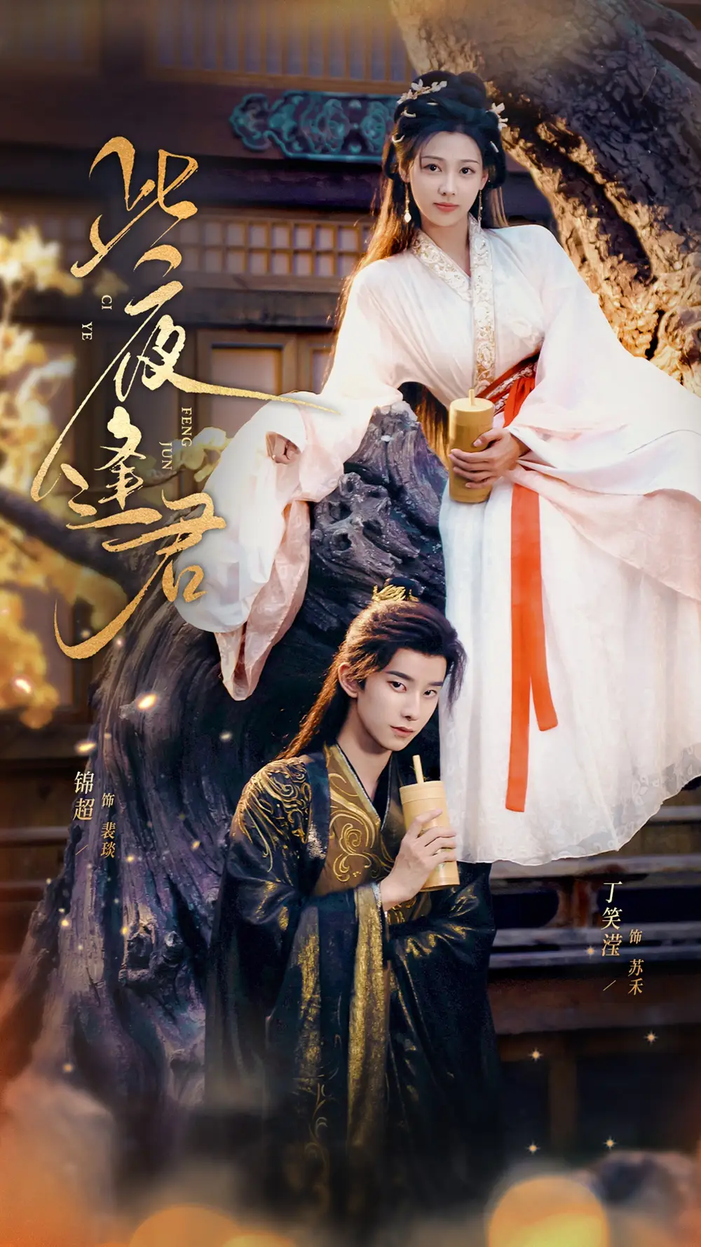 此夜逢君（76集）锦超＆丁笑滢海报