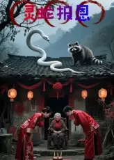 灵蛇报恩(30集)小黑高清海报图片 灵蛇报恩(30集)小黑海报