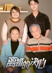 离婚的决心(53集)高清海报图片 离婚的决心(53集)海报