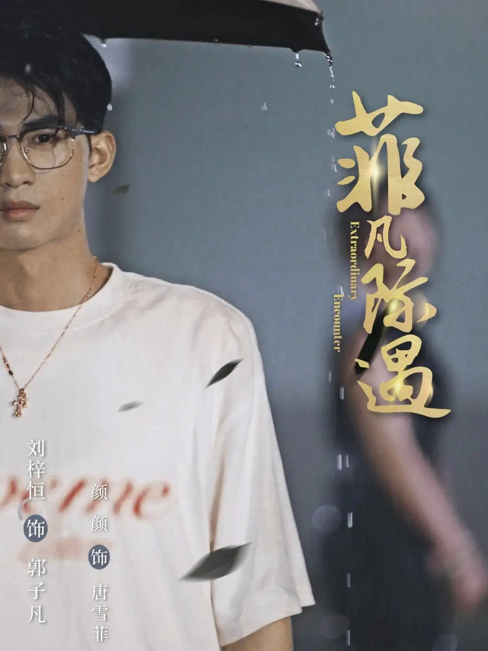 菲凡际遇（100集）刘梓恒＆颜颜海报