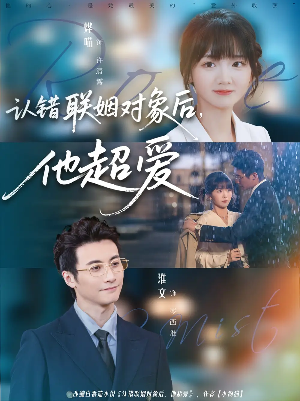 认错联姻对象后,他超爱(72集)淮文&烨喵高清海报图片 认错联姻对象后,他超爱(72集)淮文&烨喵海报