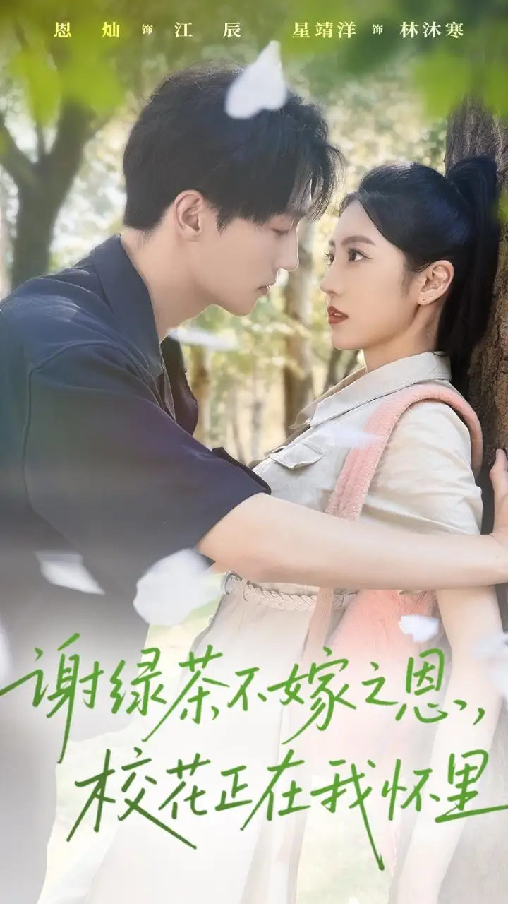 短剧《谢绿茶不嫁之恩校花正在我怀里》全集完整版高清免费在线观看