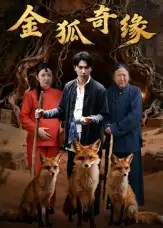 金狐奇缘（42集）李图图&张旭海报