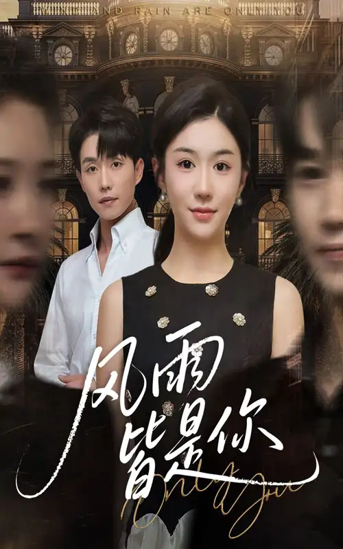 短剧《风雨皆是你》全集完整版高清免费在线观看