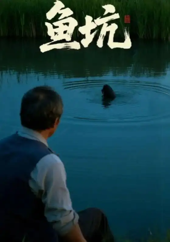 短剧《鱼坑》全集完整版高清免费在线观看