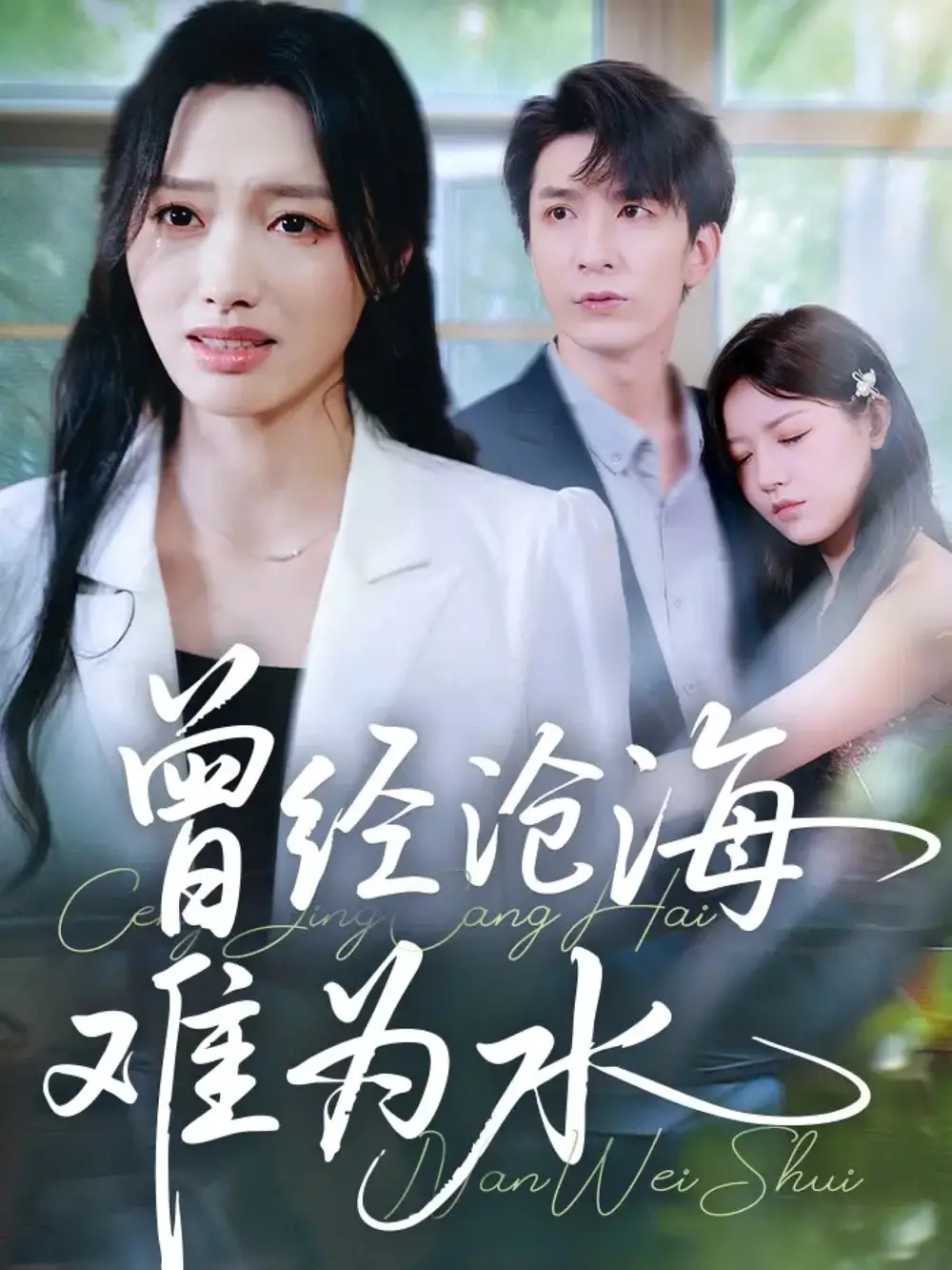 短剧《曾经沧海难为水》全集完整版高清免费在线观看