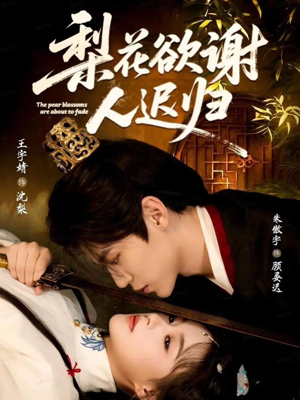 梨花欲谢人迟归(60集)朱傲宇&王宇婧高清海报图片 梨花欲谢人迟归(60集)朱傲宇&王宇婧海报