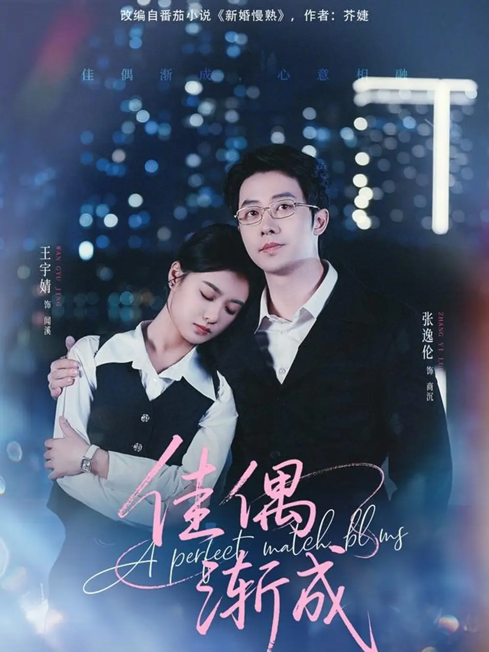 短剧《佳偶渐成》全集完整版高清免费在线观看