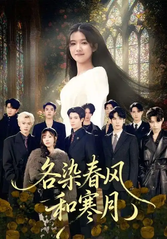 短剧《傅少，叶小姐她不按套路出牌》全集在线观看免费