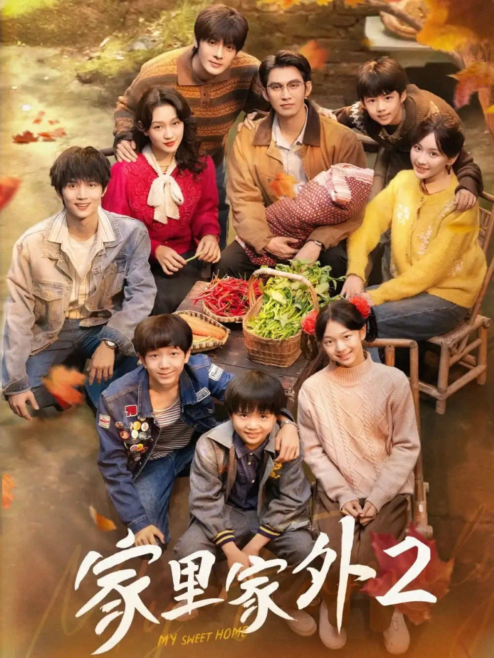 短剧《家里家外2》全集完整版高清免费在线观看