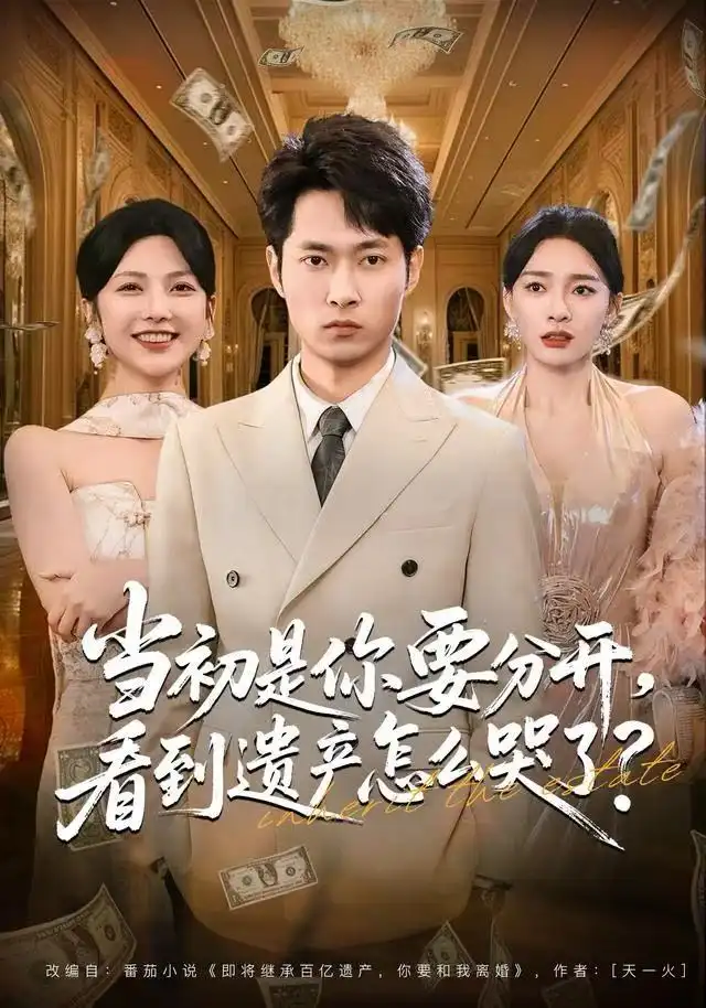 短剧《当初是你要分开，看到遗产怎么哭了？》全集完整版高清免费在线观看