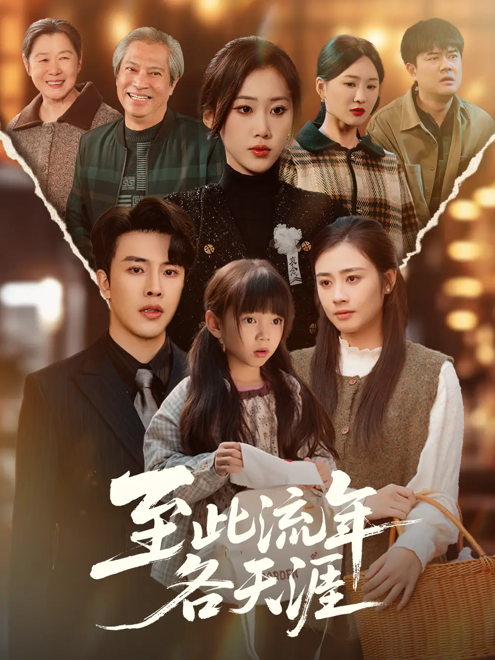 短剧《至此流年各天涯》全集完整版高清免费在线观看