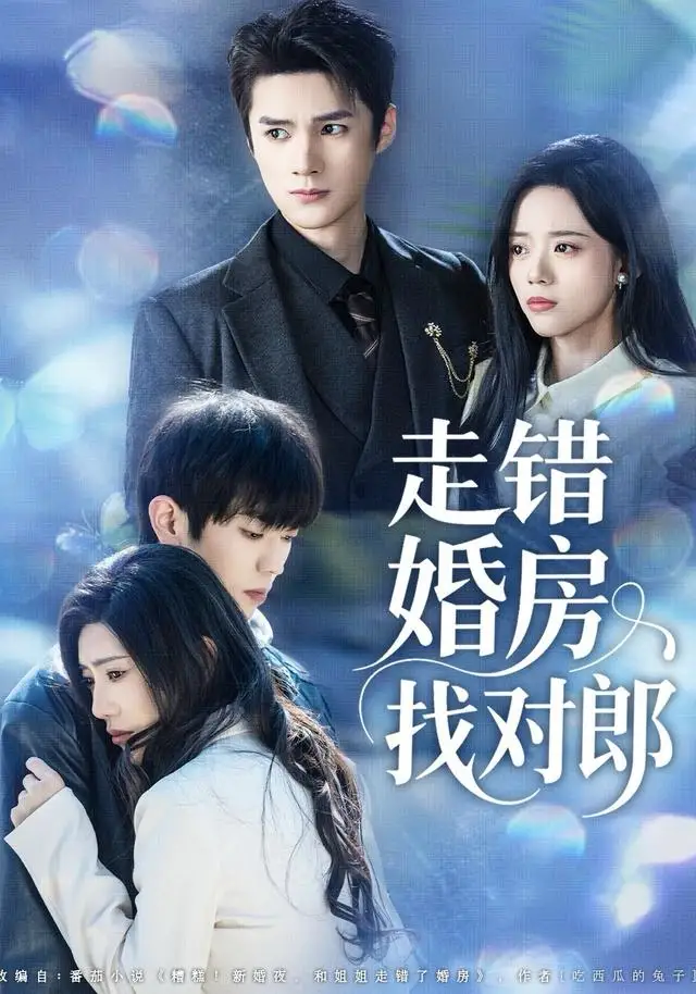 短剧《走错婚房找对郎》全集完整版高清免费在线观看